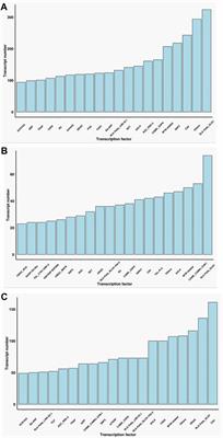 A Comparative Transcriptional Landscape of Two Castor Cultivars Obtained by Single-Molecule Sequencing Comparative Analysis